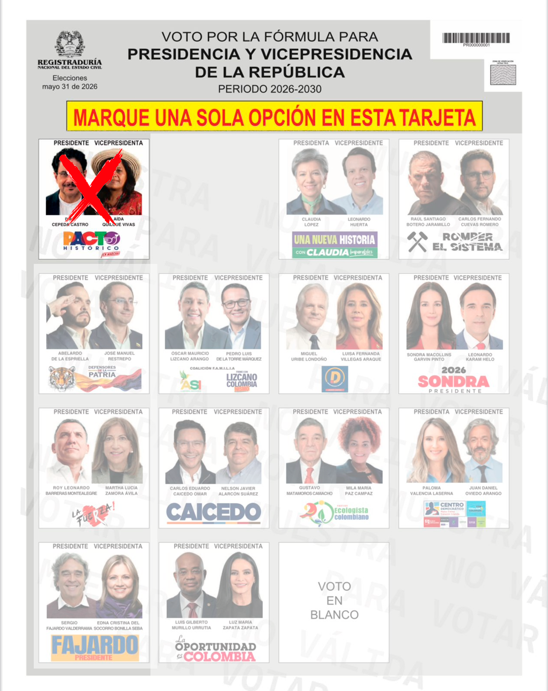 Cuidemos nuestro voto